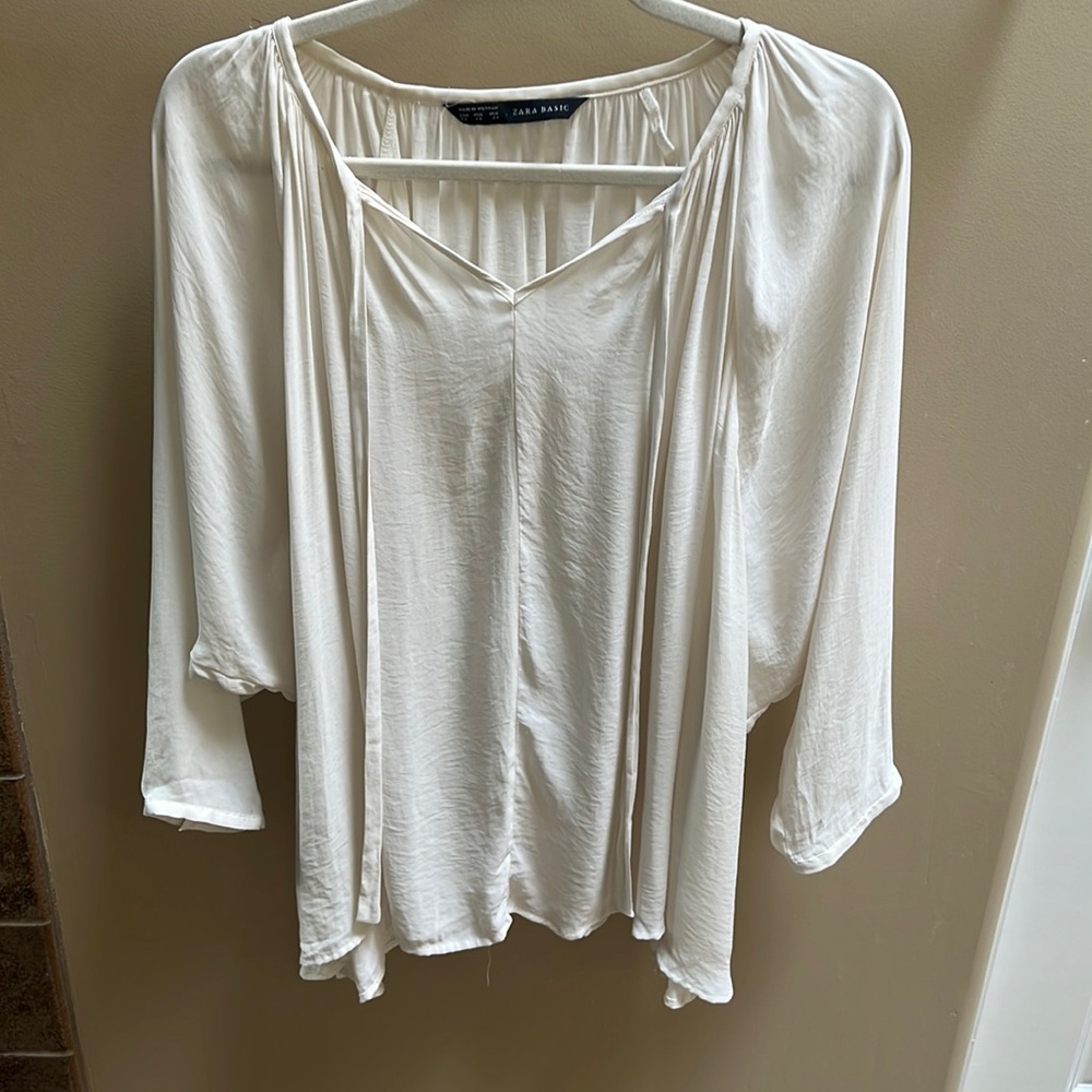 Zara Sheer Blouse